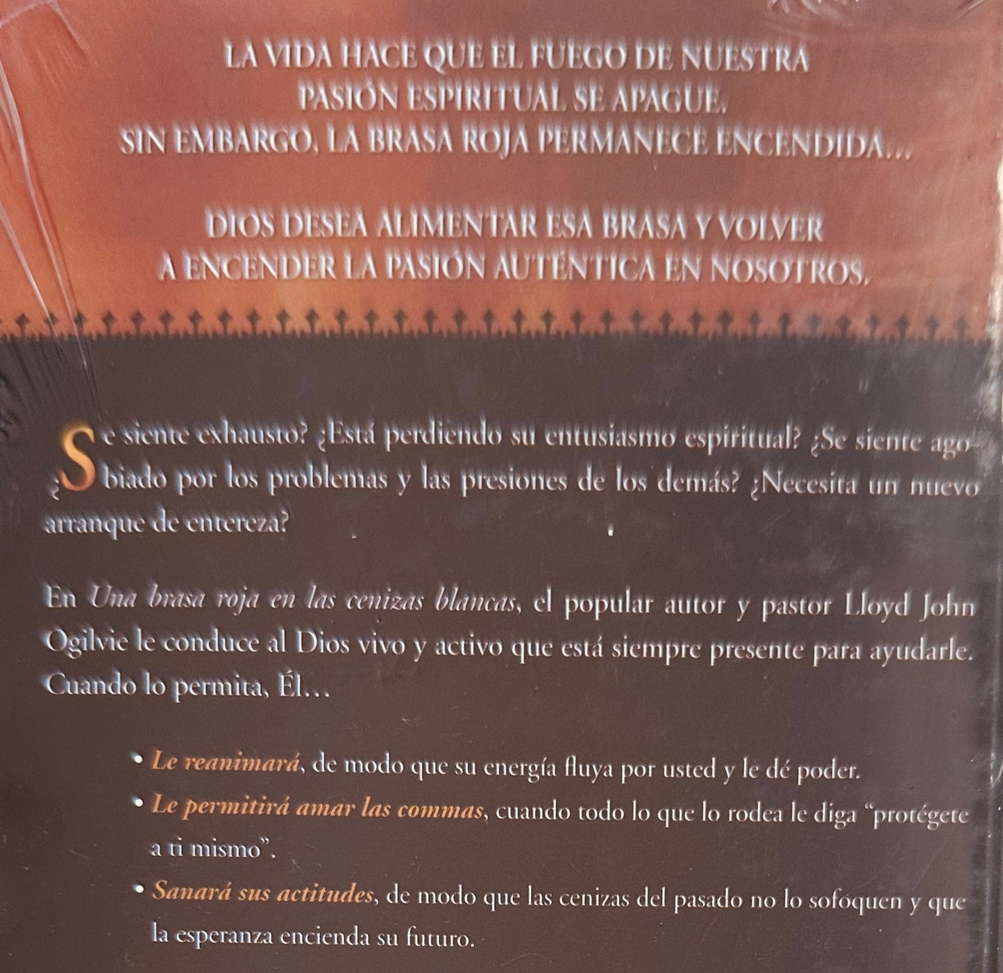Una Brasa Roja En Las Cenizas Blancas 