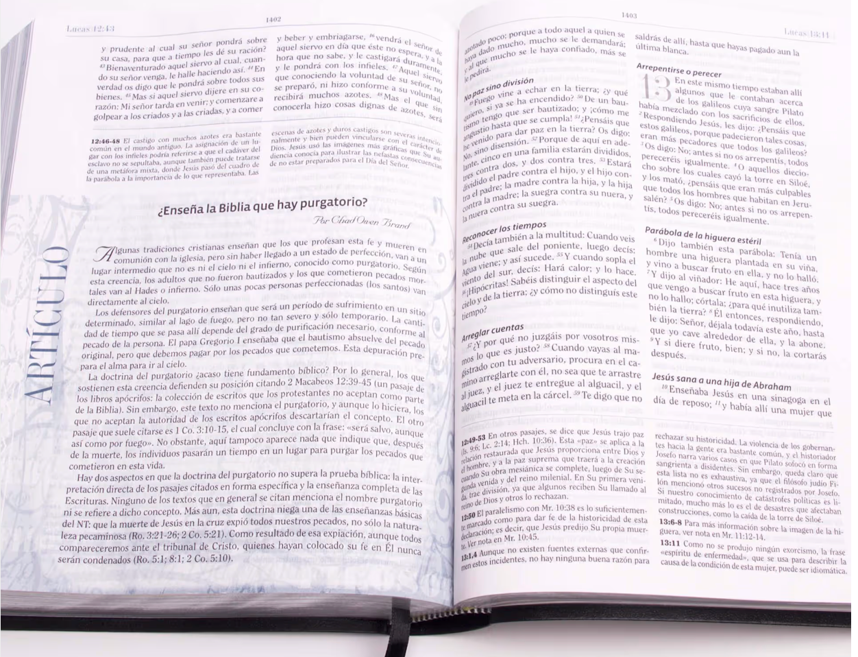 Biblia de Estudio de Apologética, negro imitación piel