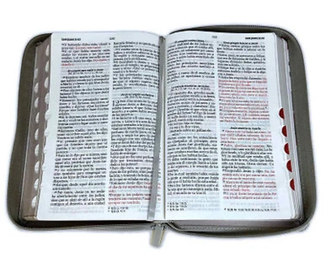 Biblia para Mujer Letra Grande RV60 Floral con Indice Mujer Virtuosa