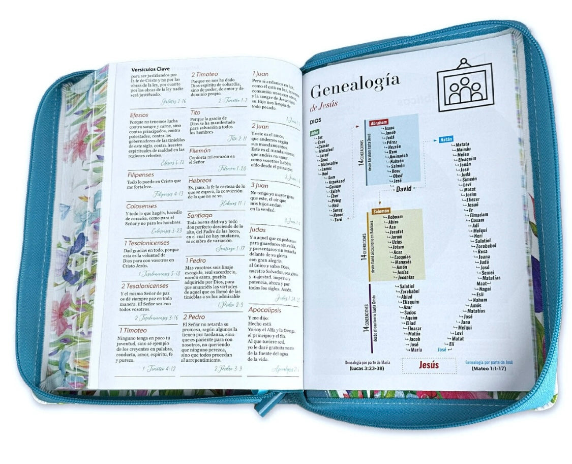 Biblia para Mujer Letra Gigante 14 puntos RV1960 Mariposas con indice y cierre
