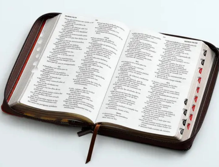 Biblia Camino con Cierre Letra Grande 12 puntos RV1960 imit. piel café con índice