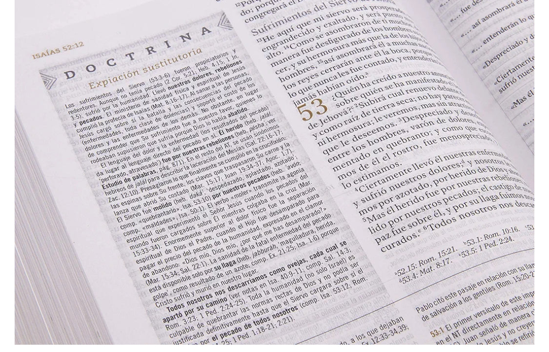 Biblia Reina Valera 1960 de Estudio para Mujeres, Tapa dura | RVR 1960 Women's Study Bible, Hardcover (Spanish Edition)