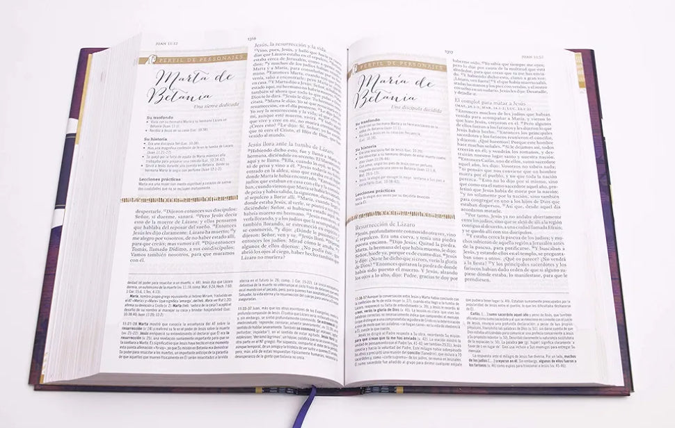Biblia Reina Valera 1960 de Estudio para Mujeres, Tapa dura | RVR 1960 Women's Study Bible, Hardcover (Spanish Edition)
