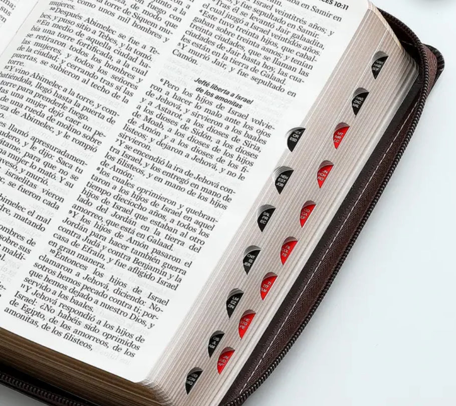 Biblia Camino con Cierre Letra Grande 12 puntos RV1960 imit. piel café con índice