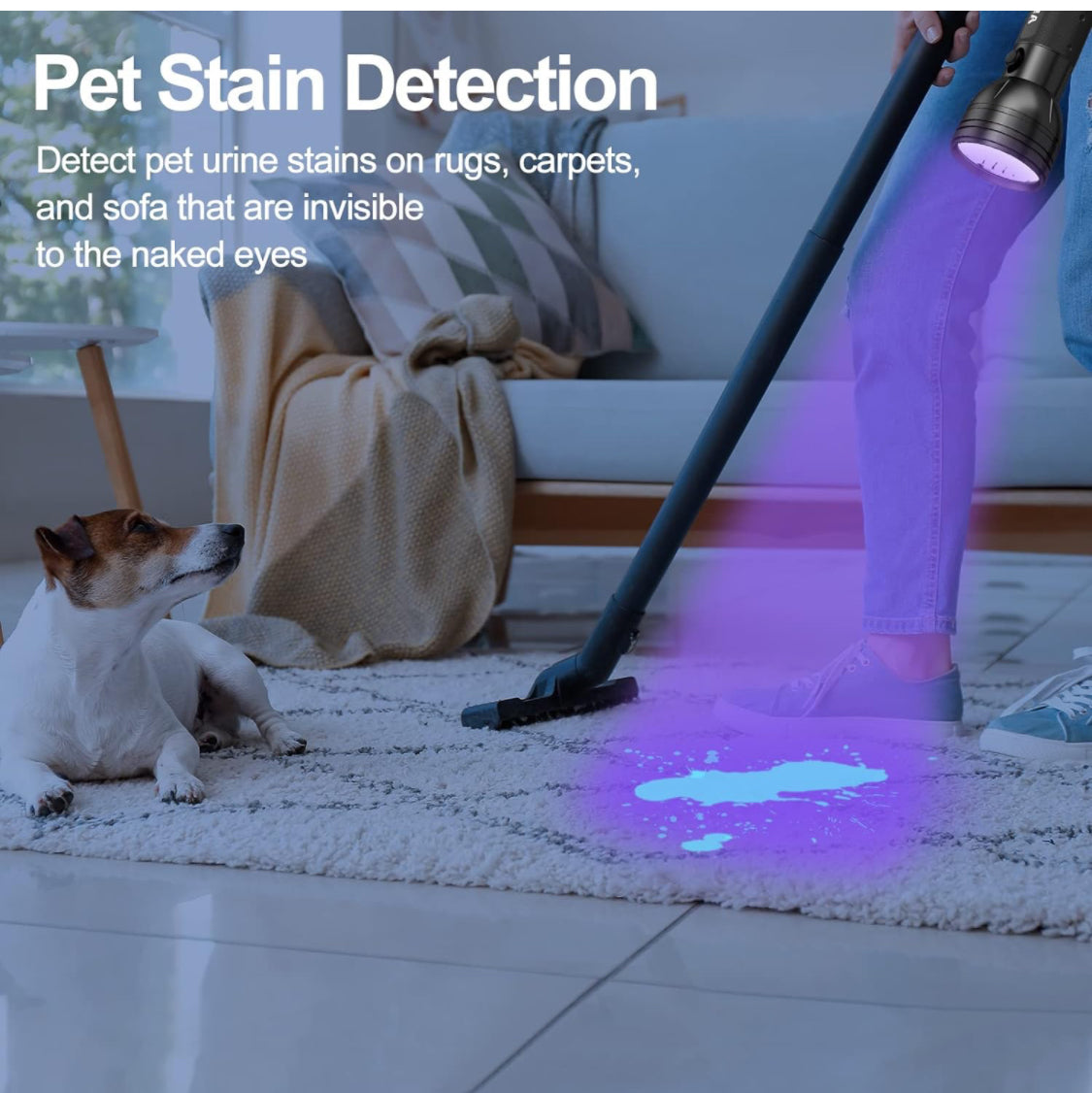 UV Flashlight LED Pet Urine Detector, Dry Stains and more!