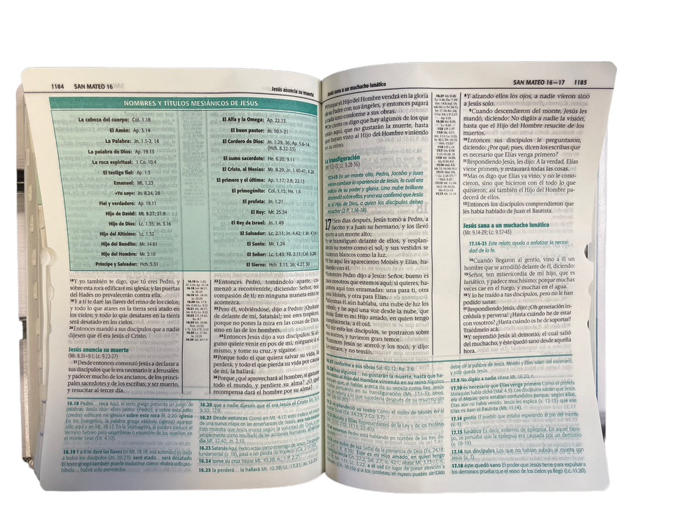 Biblia de Estudio Esquematizada RVR 1960 con indice